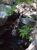 photo thumbnail #12