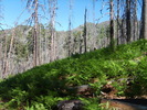 photo thumbnail #14