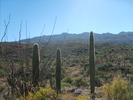 photo thumbnail #4