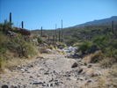 photo thumbnail #5