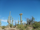 photo thumbnail #6