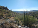 photo thumbnail #7