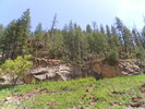 recent photo