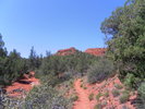 recent photo