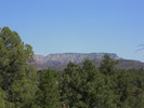 recent photo