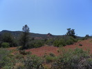 recent photo