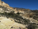 photo thumbnail #7