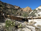 photo thumbnail #9