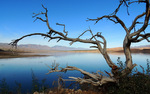 photo thumbnail #4