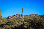 photo thumbnail #1