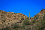 photo thumbnail #10