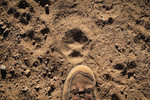photo thumbnail #12