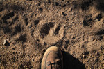photo thumbnail #13