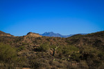 photo thumbnail #15