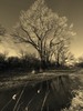 photo thumbnail #11
