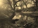 photo thumbnail #12