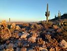 photo thumbnail #2