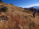 photo thumbnail #3
