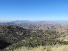 photo thumbnail #3