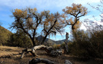 photo thumbnail #3