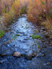 photo thumbnail #15