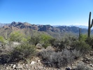 photo thumbnail #5