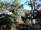 photo thumbnail #10