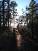 photo thumbnail #11