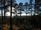 photo thumbnail #12