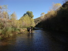 photo thumbnail #1