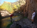 photo thumbnail #3