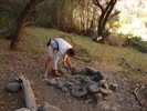 photo thumbnail #5