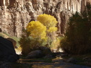 photo thumbnail #15