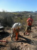 photo thumbnail #5