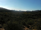 photo thumbnail #6