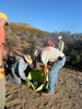 photo thumbnail #9