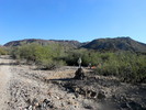 photo thumbnail #13