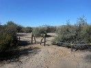 photo thumbnail #15