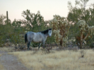 photo thumbnail #8