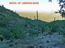 photo thumbnail #15