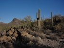 photo thumbnail #4