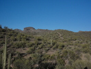 photo thumbnail #5
