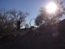 photo thumbnail #8