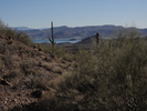 photo thumbnail #12