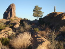 photo thumbnail #5