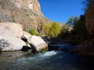 photo thumbnail #4