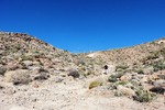 photo thumbnail #11