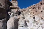 photo thumbnail #14