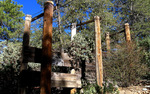 photo thumbnail #4