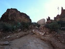 photo thumbnail #4